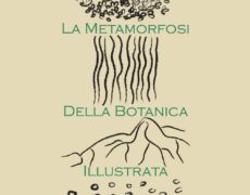 LE METAMORFOSI DELLA BOTANICA ILLUSTRATA: RADICI – Roma